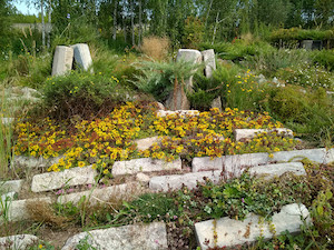 Шипунова Анна - ландшафтная фотовыставка "Растения в садах"